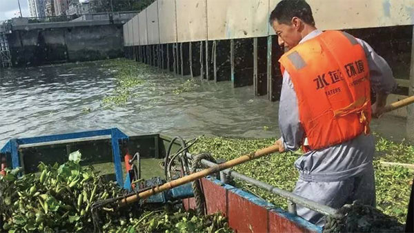 江西贛州河面水葫蘆打撈及水面垃圾清運服務(wù)保潔項目